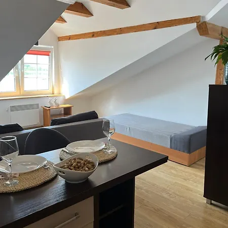 Apartment 2-osobowy Nad Jeziorem Kalinowo (Elk)